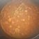 El cooksnap de Julián cuando hizo Guiso Marinero de garbanzos con langostinos.
