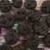 Cooksnap dari Cita untuk resep Chocochips simple ala Goodtime 🍪