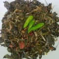 Cooksnap dari Applebondie untuk resep Tumis Daun Singkong Ikan Teri #BikinRamadhanBerkesan