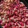 Cooksnap dari Lilik Anggriyana untuk resep Pop corn caramel manis gurih