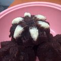 Cooksnap dari Diana Murdi untuk resep Brownies kukus mawar