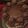 El cooksnap de macorose66 cuando hizo Pastel De Chocolate con Ferrero Rocher.