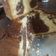 El cooksnap de Dulce Carranza cuando hizo Bizcochuelo súper sencillo.