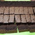 Cooksnap dari Asniarham untuk resep Brownies panggang