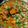 Kunti Naik's cooksnap of when they made મટર પનીર (Matar paneer recipe in Gujarati).