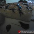 Cooksnap από rouli726 στη συνταγή Πορτοκαλόπιτα παραδοσιακή χιώτικη