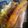 El cooksnap de Natalie camargo cuando hizo Arepas de Ahuyama amarilla.