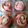 Cooksnap dari Rina Dewi Supena untuk resep Dadar Gulung Mawar Polka Pinky