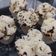 Cooksnap dari Mrs.Agustian untuk resep Bolu Kukus Mekar Meses Pelangi