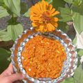 کوک اسنپ young cook بعد از امتحان کردن میرزا قاسمی.