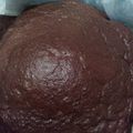 El cooksnap de Sara PA cuando hizo Bizcocho esponjoso de chocolate.