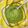 il Elodia quando ha preparato Salsa verde