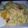 Megan's cooksnap of when they made Garlic Lover's Pasta With Broccoli.