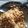 Cooksnap dari Netha untuk resep Nasi Goreng Sosis