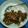 Cooksnap dari Selvi Mirthawati untuk resep Tumis jamur endulita