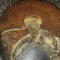 صورة من 🌺🌼 نينا 🌼🌺، شاركها بعد تجربة وصفة قالب البسبوسة بالقشطه