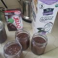 Lisette Bailey's cooksnap of when they made Vickys Alternative Milk Instructions for Jello Instant Pudding, Gluten, Dairy, Egg & Soy-Free, VEGAN.