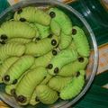 Cooksnap dari gregoriusalva untuk resep Kue Kering Ulat Gemes Teflon No Oven