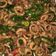 Cooksnap dari Agnes Ema Hasnani untuk resep Cumi Basah Sambel Ijo