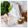 Cooksnap của Hoàng Thị Tố Hà khi họ làm theo món Bánh Ướt Phương Lang Quảng Trị