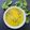 प्राची मलठणकर (Prachi Malthankar)'s cooksnap of when they made लसुणी पालक (lasuni palak recipe in marathi).