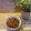 Cooksnap dari Putry Sabrina untuk resep Oseng Soun Tahu Cabe Hijau