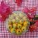 Cooksnap dari Azarine Nazeeva. untuk resep Cookies jeruk (tanpa telor)