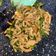 Cooksnap dari Newbie.Cooking untuk resep Tumis Usus Ayam pedas
