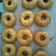 Cooksnap dari devi untuk resep Simple eggless doughnut (donat tanpa telur)