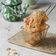 Cooksnap dari cutzamania untuk resep Oncom Golden Crispy