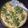 Rashmi Pithadia's cooksnap of when they made (ખમણ)(khaman recipe in Gujarati).