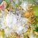 Cooksnap dari Indriawati untuk resep Sop Tulang Sapi