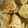 El cooksnap de Rominav cuando hizo Galletitas integrales, súper fáciles y riquísimas!.