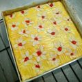 Cooksnap dari anabella puteri untuk resep Lekker Holand (Dutch Butterkoek)