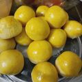 Cooksnap dari Fransiska Nila untuk resep Nastar Klasik Teflon