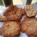 El cooksnap de andrea juarez cuando hizo Galletas de Avena sin trigo ni huevo.