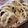 El cooksnap de begoigualada cuando hizo Pan naan o pan indio -sin horno-.