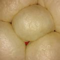 Cooksnap dari Rirutami Ummu Yahya untuk resep Bakpao Ny.Liem