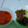 Cooksnap dari dian purnama sari untuk resep Iga Bakar (Teflon) Madu
