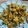 mitu madlani's cooksnap of when they made મેથીના ગોટા(Methi gota Recipe in Gujarati).