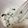 Dana 's cooksnap of when they made Gluten-free Raisin Rolls with Rice Flour.