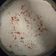 Shital Manek's cooksnap of when they made ઢોકળા(Dhokla recipe in Gujarati).