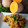El cooksnap de Elenamadalena cuando hizo Arroz de carrillera y calabaza.