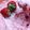 El cooksnap de valyta cuando hizo Helado de frutilla/fresa 🍓 granizado.