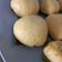 Cooksnap dari Genesia Supit untuk resep Bakpao isi kacang hijau takaran sendok