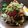 รูป Cooksnap ของ piya peipei เมื่อเขาทำ ก๋วยเตี๋ยวหลอดเครื่องทรง