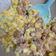 Cooksnap dari aninditanya untuk resep Chicken sweet butter corn