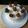 Cooksnap dari Putri(Dapur Ryuna)✅ untuk resep Cake Stroberi (strawberry) & Krim ANTI ENEG (tart)
