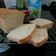 Cooksnap dari Ka Pawon by Elysnawati untuk resep American Sandwich Bread (Roti Tawar) Egg Free