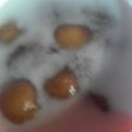 Cooksnap dari atik untuk resep Jenang grendul/Bubur candil